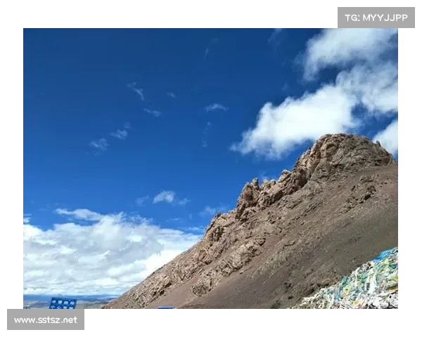 在失明中寻找光明 激发独特创造力的心灵之旅 在失明中寻找光明 激发独特创造力的心灵之旅